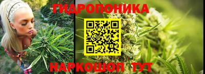 прущие крисы Будённовск
