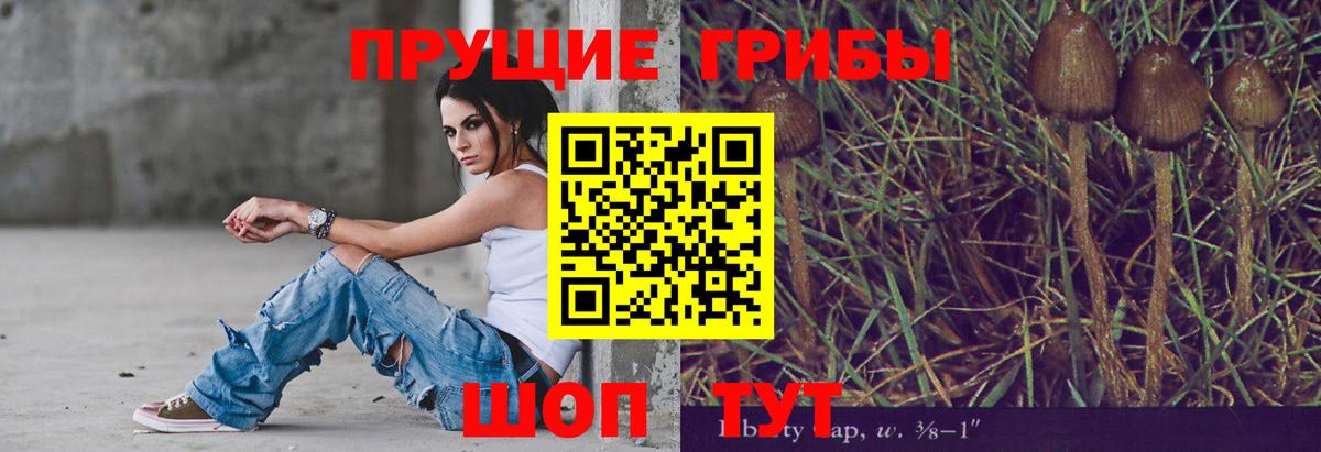 Псилоцибиновые грибы мицелий Можга